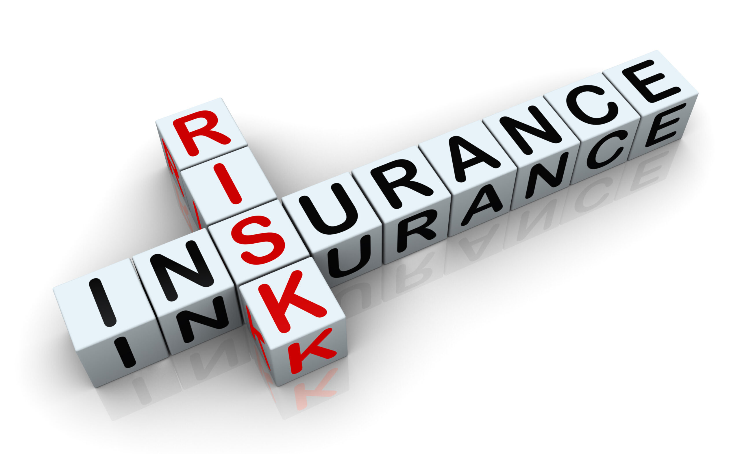 risk Insurance